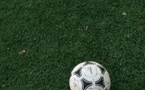 Anis Hadj-Moussa, international algérien des Fennecs, passeur décisif face à Go Ahead Eagles