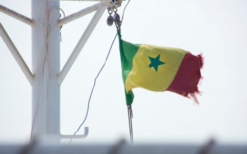 Nouveau sélectionneur du Sénégal 2026 : quelles pistes pour les Lions de la Teranga ?