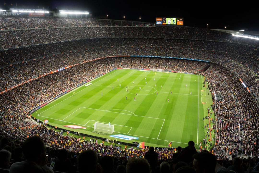 soccer stadium action