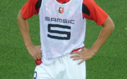 Fennecs watch : Amine Gouiri sort blessé à la cuisse vs Zambie
